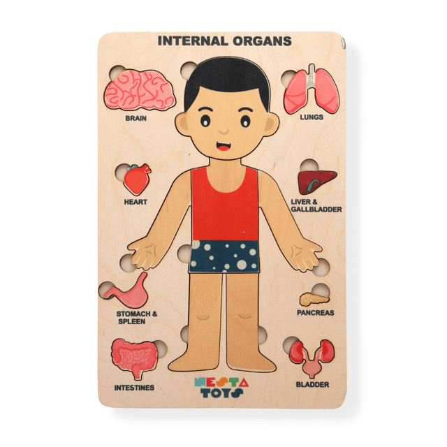 NESTA TOYS Montessori Learning Wooden Puzzle | Human Body Anatomy Puzzle for Kids (14 Pcs)