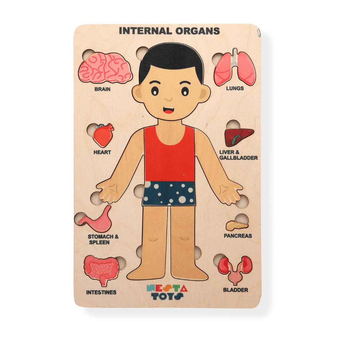 NESTA TOYS Montessori Learning Wooden Puzzle | Human Body Anatomy Puzzle for Kids (14 Pcs)