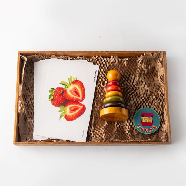 Toy Trunk Learn and Stack Discovery Kit (Ring Stacker, Fruit Flash Card)