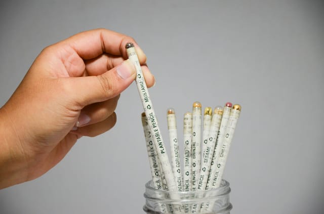 Plantable Seed Pencils – Pack of 12 | Eco-Friendly Recycled Newspaper Pencils | Grows into Herbs, Flowers, or Vegetables | Plastic-Free | Sustainable Gift