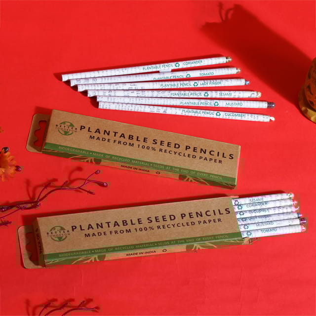 Plantable Seed Color Pencils – Pack of 12 (10 Colors + 2 Lead Pencils)