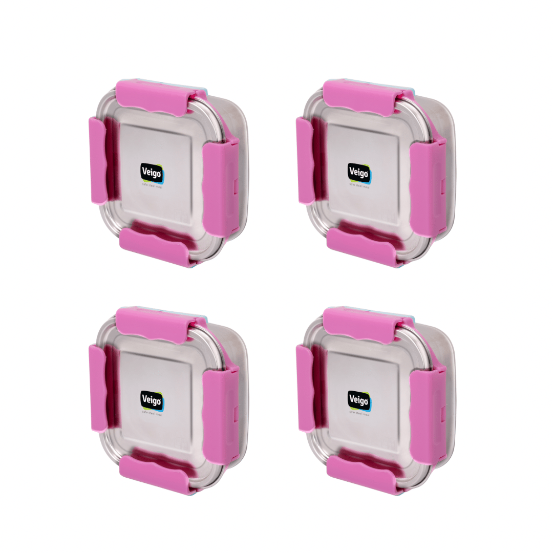 Veigo Outdoor Adventure - Set of 4 Stainless Steel Medium Lunch Boxes