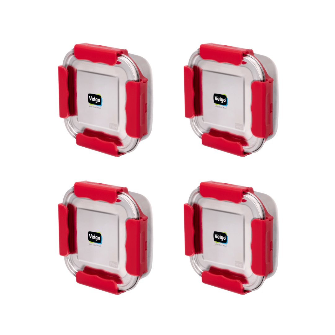 Veigo Outdoor Adventure - Set of 4 Stainless Steel Medium Lunch Boxes