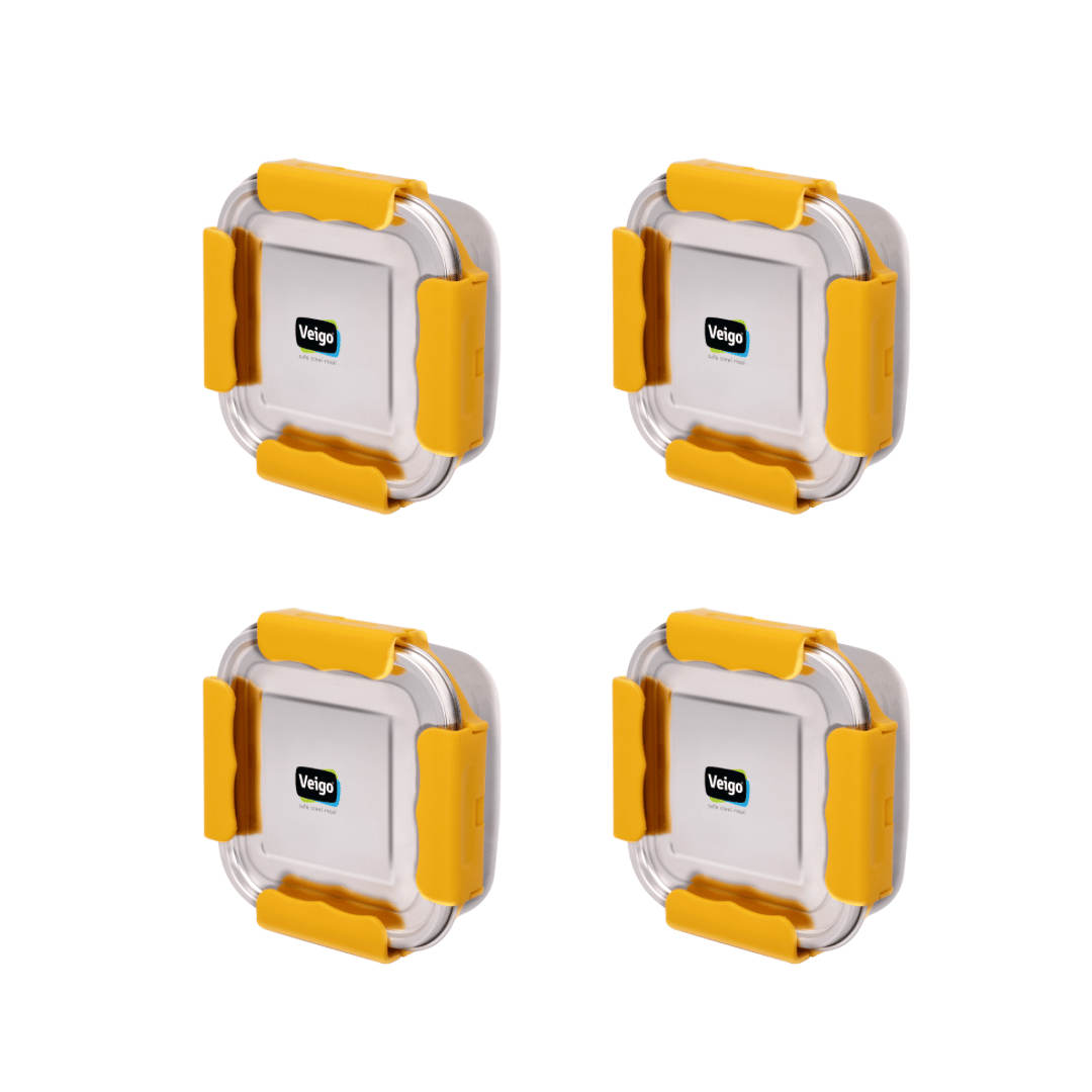 Veigo Outdoor Adventure - Set of 4 Stainless Steel Medium Lunch Boxes
